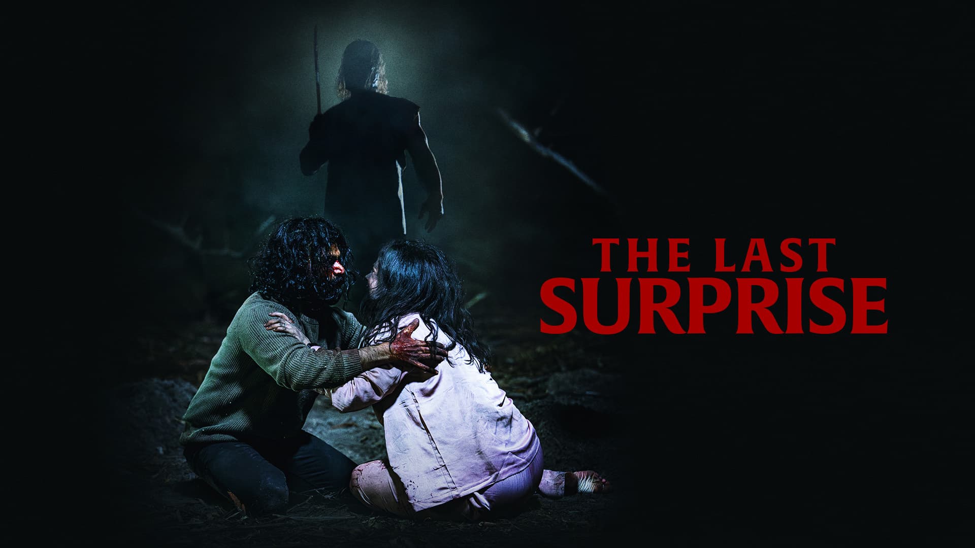 The Last Surprise 